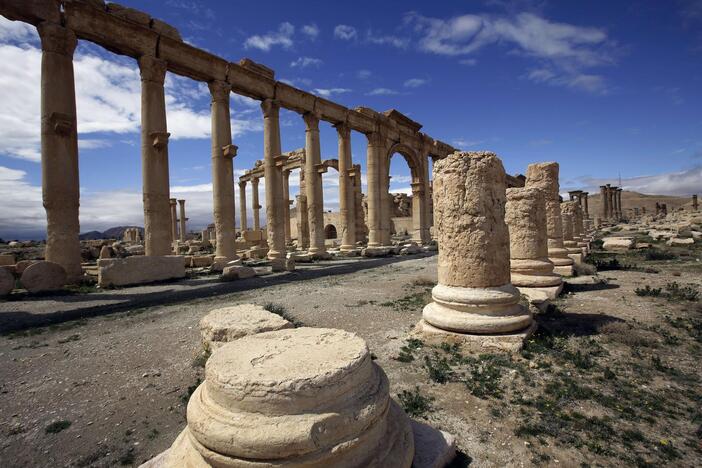 Palmyra