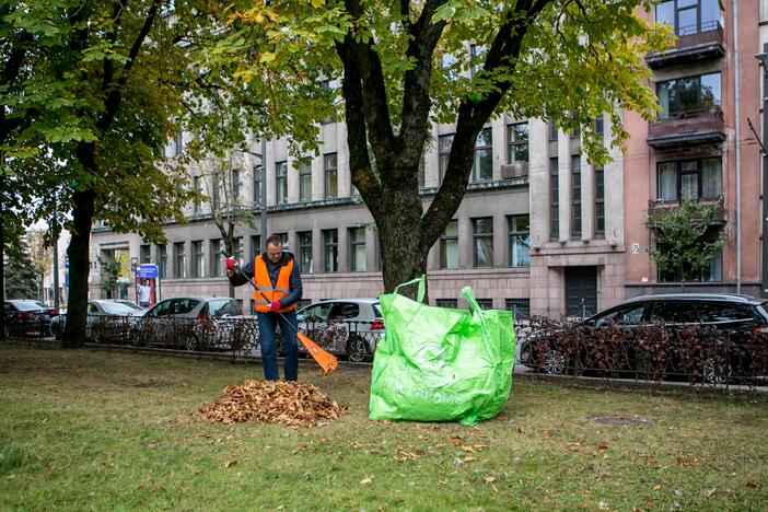 Patinka: didmaišiai – vizualiai gražūs, talpūs, patvarūs ir patogūs sudėti bei transportuoti.