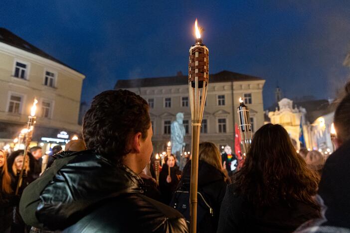 Nacionalinio susivienijimo eisena su deglais