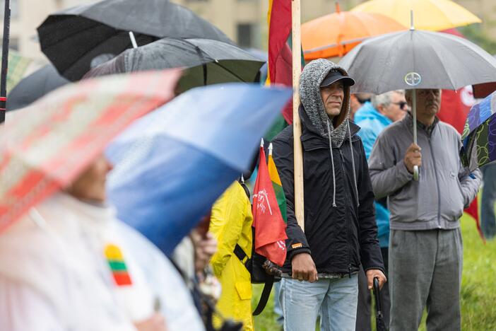 Šeimų sąjūdžio protestas prie Seimo