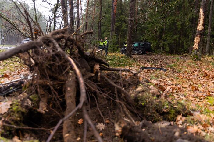 „Mercedes-Benz“ avarija Nemenčinės plente 