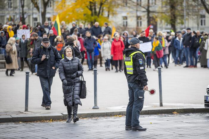 A. Astrauskaitės mitingas prieš pandemijos valdymą Vilniuje