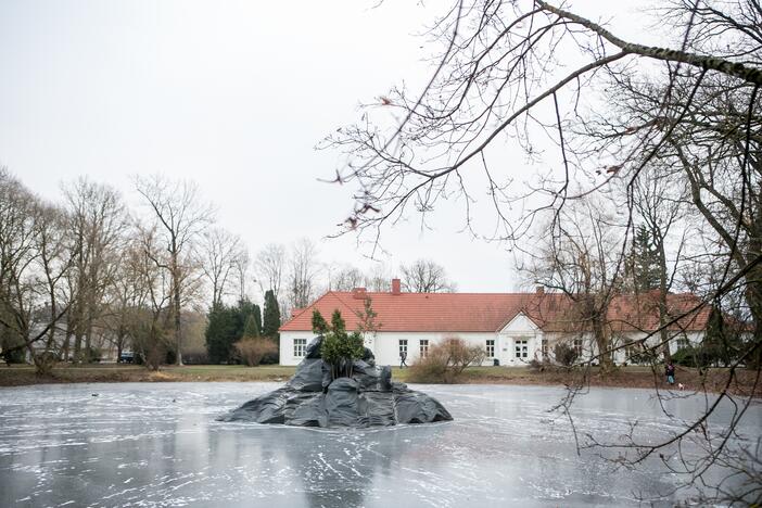 Skulptūra King Kongas perkelta į Botanikos sodo tvenkinį