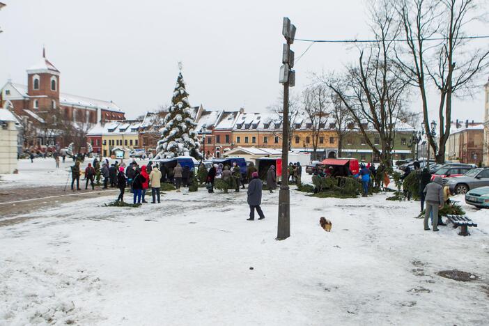 Akciją „Parsinešk Kalėdas į savo namus“ Kaune