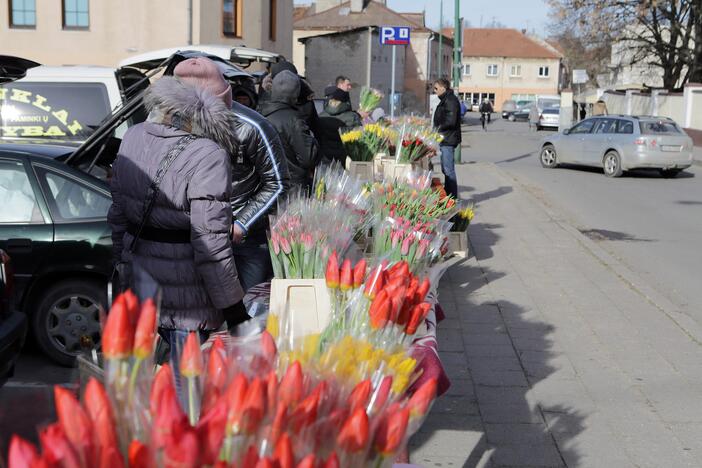 Miestas nusidažys tulpių žiedais