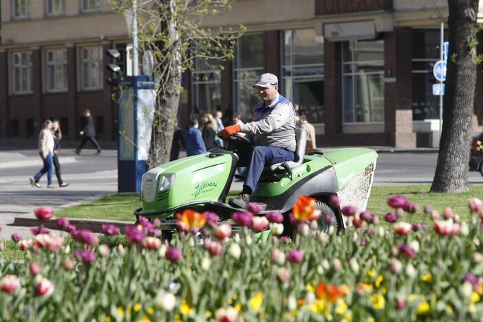 Darbai: neatmetama tikimybė, kad reprezentacines miesto vietas gali tekti šienauti dar kartą.