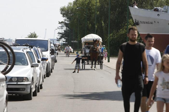 Siūloma rinkliavą už automobilių stovėjimą vasaros sezono metu rinkti ir Smiltynėje.