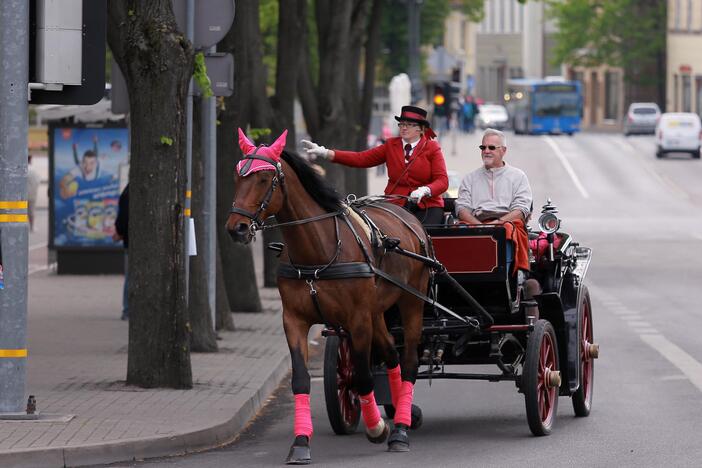 Atrakcija: pasivažinėti žirgų traukiamomis karietomis galima ne tik Smiltynėje, bet ir miesto centre.