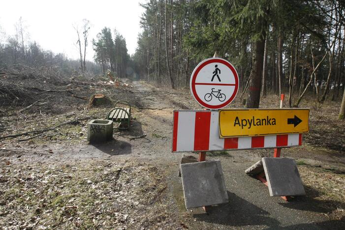 Tvarka: jau nukreiptas ir pėsčiųjų bei dviratininkų eismas.