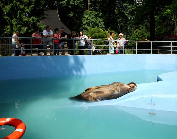 Į Lietuvos zoologijos sodą – nemokamai