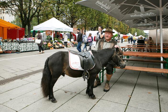 Derliaus ir amatų šventė