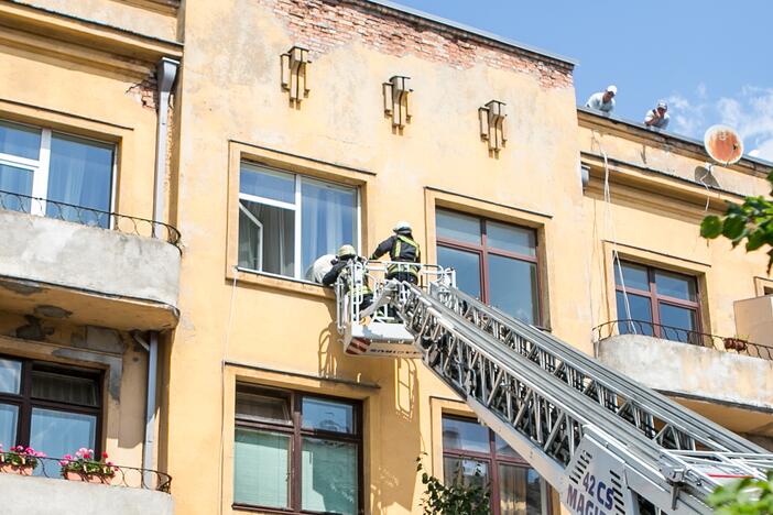 Šuns gelbėjimo operacija Miško gatvėje