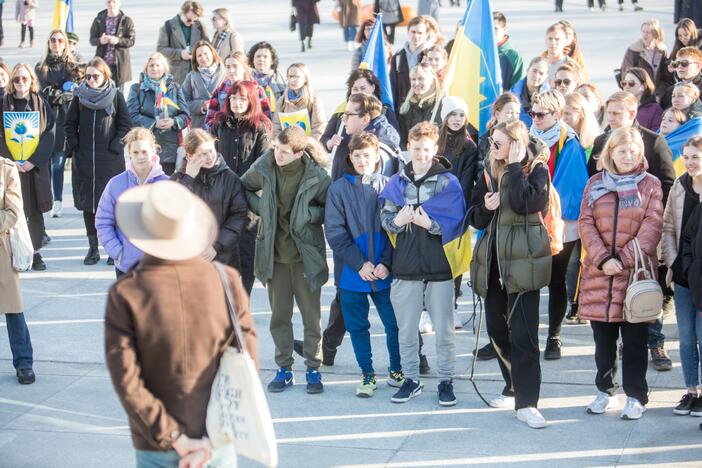 Ukrainos palaikymo akcija Vienybės aikštėje