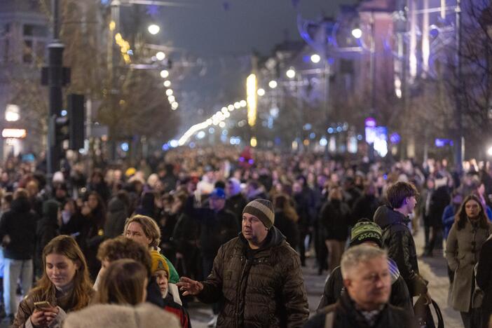 Vilniuje įžiebta Kalėdų eglė