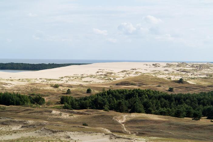 Kuršių nerijoje baigta tvarkyti žiemą apgadinta aplinka