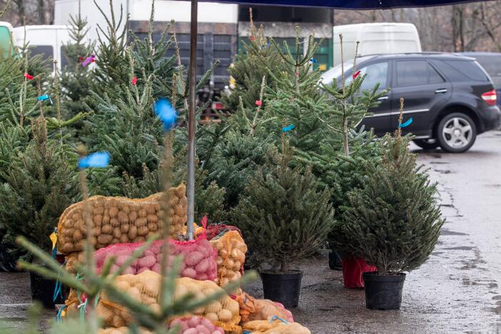 ŽŪM: karantino metu turgavietėse galima prekyba maisto produktais ir eglutėmis