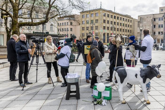 Prie Vyriausybės – ūkininkų protestas dėl pieno supirkimo kainų