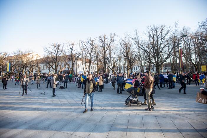 Protestas prieš Kauno miesto mero V. Matijošaičio šeimos verslo interesus Rusijoje