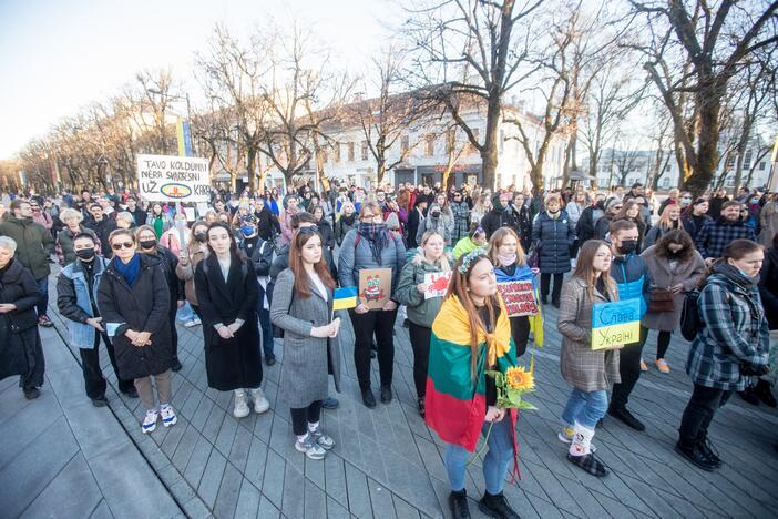 Protestas prieš Kauno miesto mero V. Matijošaičio šeimos verslo interesus Rusijoje