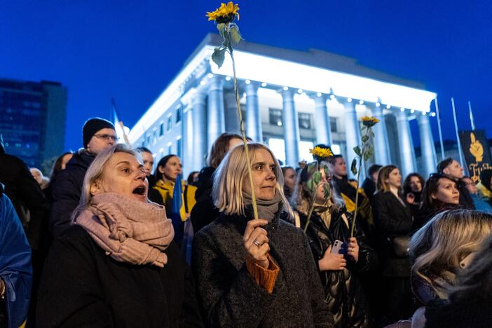 Ukrainos palaikymo akcija prie Seimo