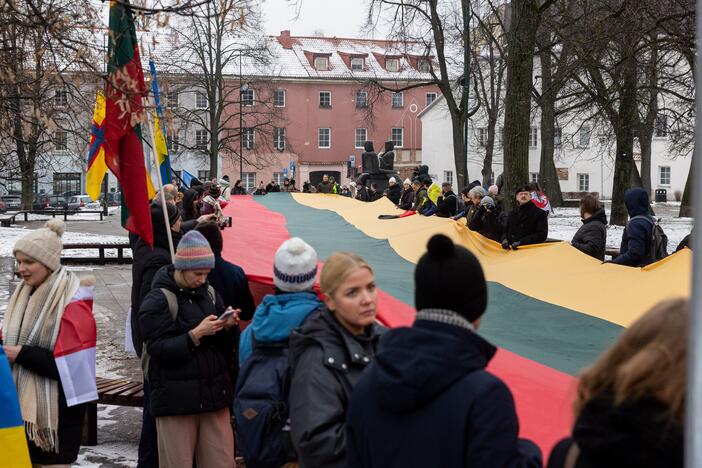 Mitingas ir eitynės Ukrainai palaikyti