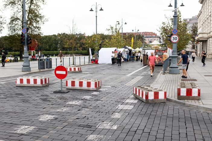 Tautų mugė Gedimino prospekte