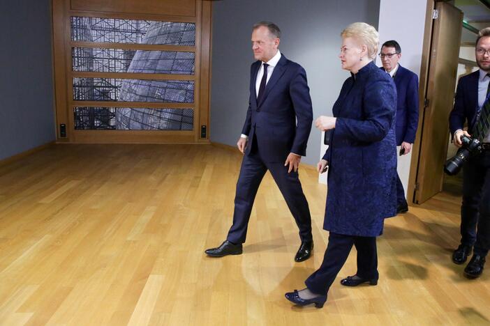 Dalia Grybauskaitė Briuselyje