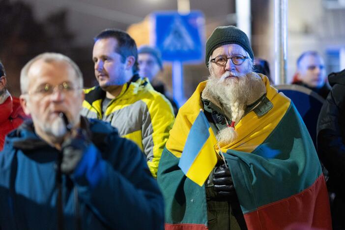  Ukrainos palaikymo mitingas prie Vokietijos ambasados