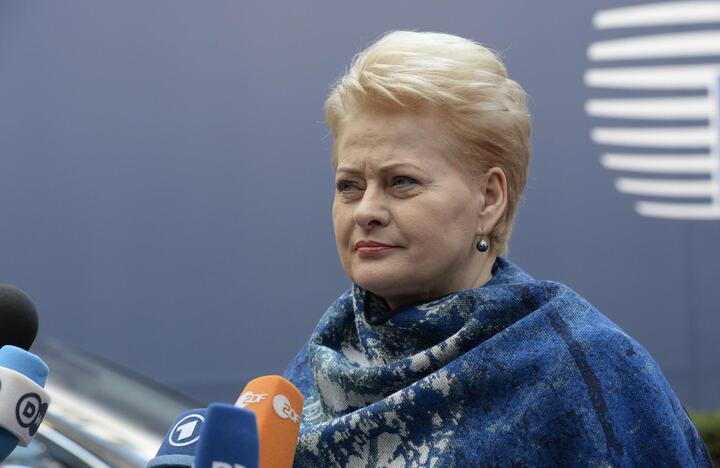 D. Grybauskaitė: Europos Komisija ragina Lietuvą pasitempti