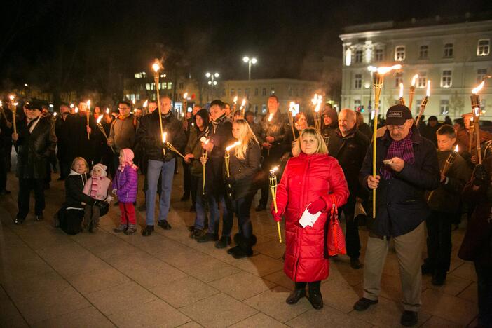 Lietuvos tautinio jaunimo sąjungos eisena