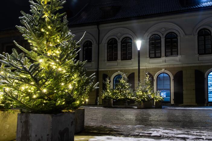 Kauną apgaubė kalėdinė magija