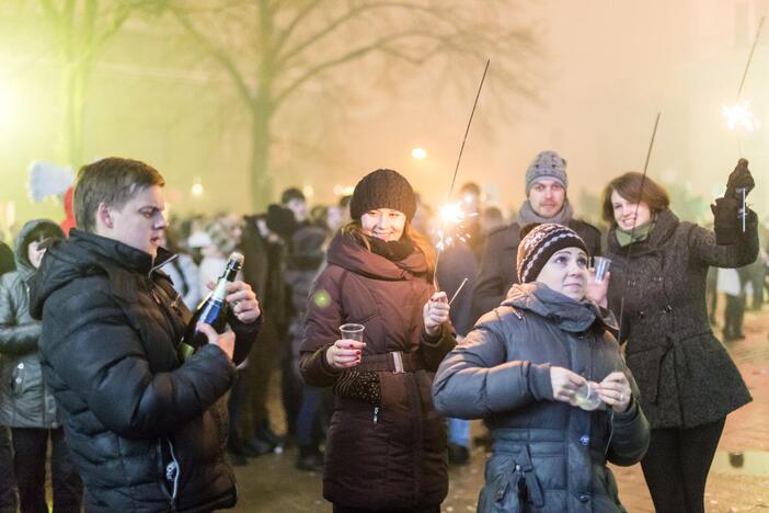 Kaunas pasitinka 2015-uosius su euru kišenėje