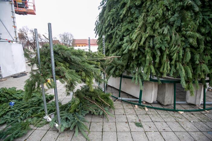 Kalėdinės eglutės ruošimo darbai