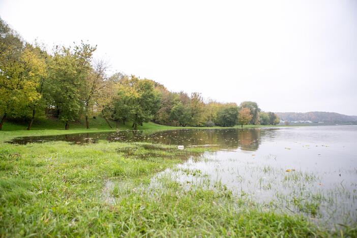 Patvinęs Nemunas