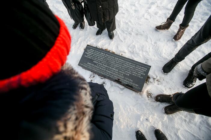 Adolfui Ramanauskui Vanagui – 100 metų