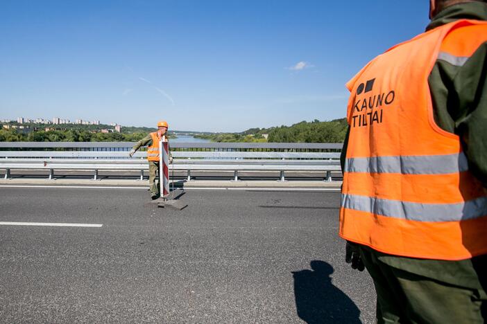 Atidarytas Varnių tiltas