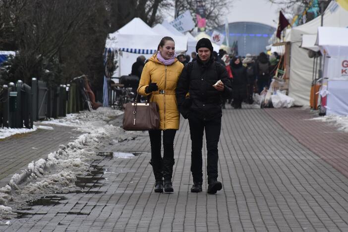 „Stintapūkio“ šventė Nidoje