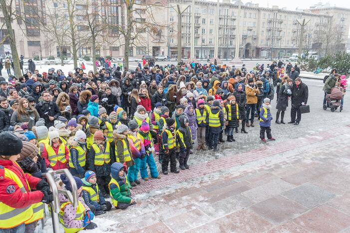 Simbolinė neužmirštuolių pieva Laisvės gynėjams