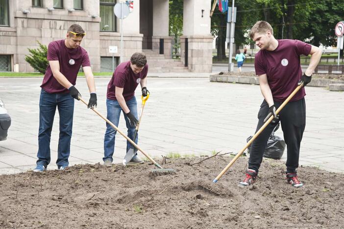 Studentai sodina gėles