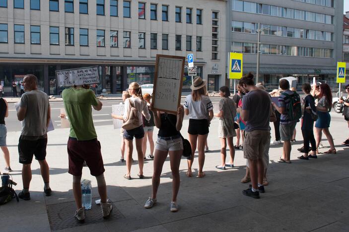 Vištų gynėjų protestas Kaune