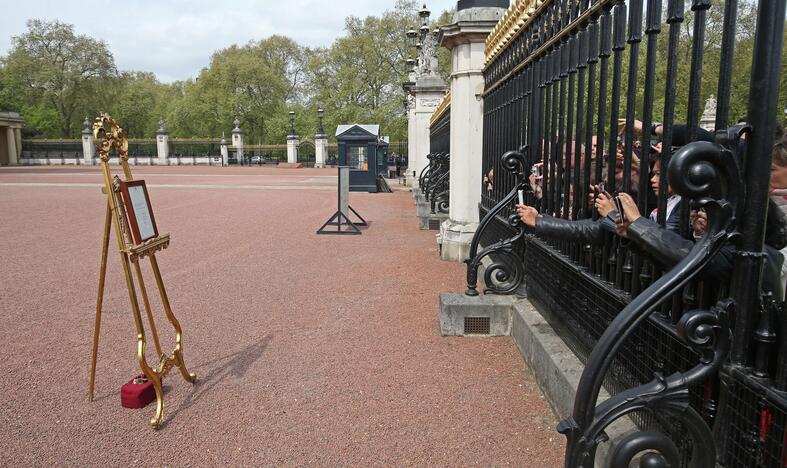 Britanija švenčia princesės gimimą