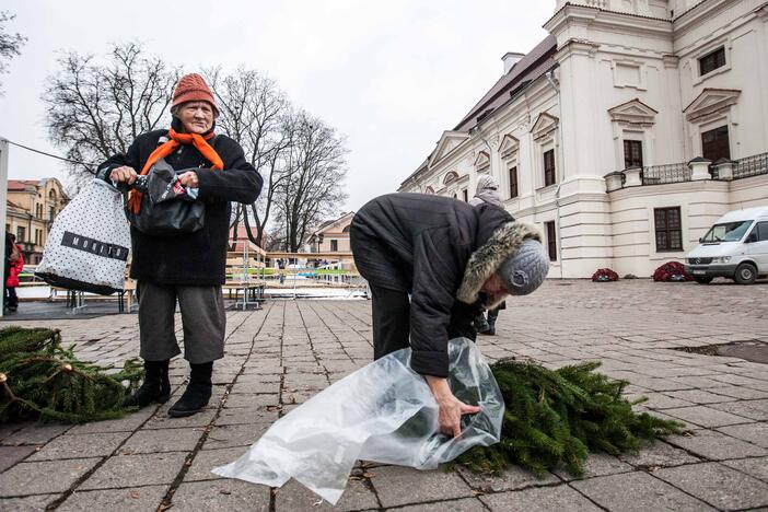 Kauniečiams dalijo eglių šakas