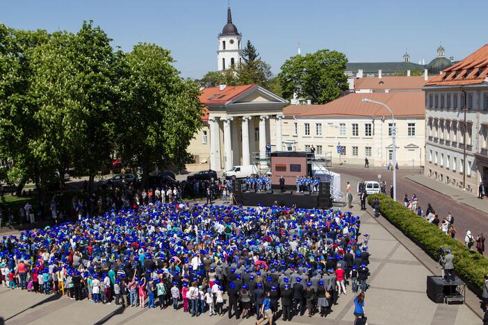 Vilniuje surengta akcija „Padovanok savo šypseną Europai“