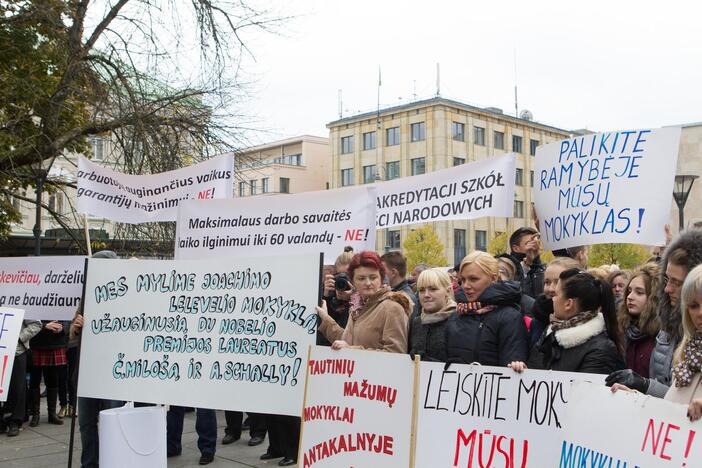 Tautinės mažumos vėl surengė protestą