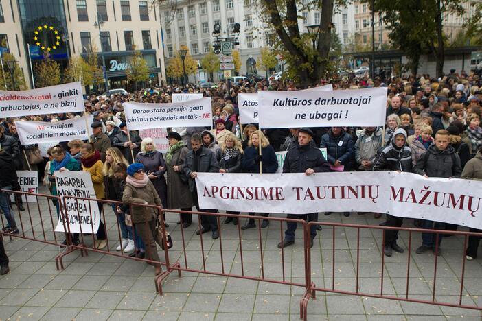 Tautinės mažumos vėl surengė protestą