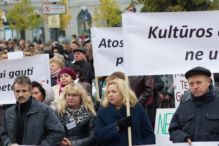 Tautinės mažumos vėl surengė protestą