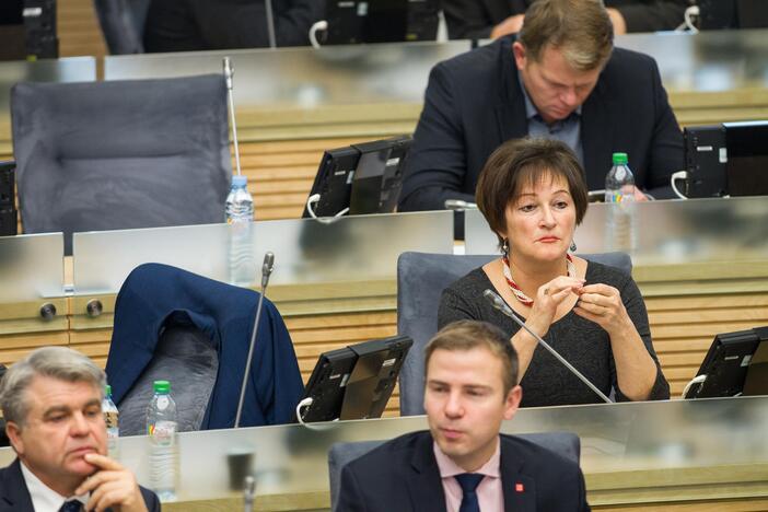 Seimas svarstė kitų metų biudžetą