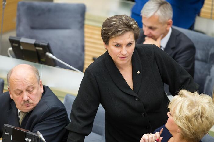 Seimas svarstė kitų metų biudžetą