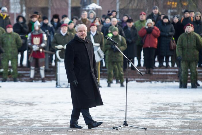 Lietuvoje minimas savanorių pajėgų 25-metis