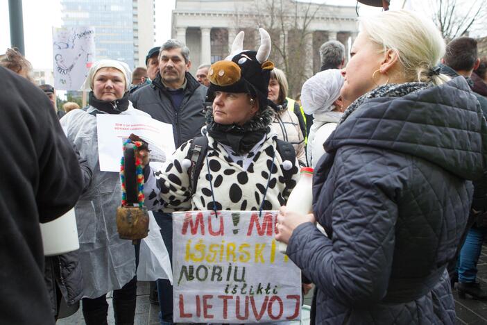 Pieno gamintojų protesto akcija